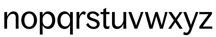 BagossStandardTRIAL Regular Font LOWERCASE