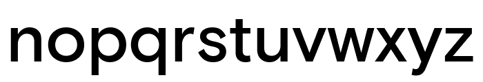 Basis Grotesque Medium Pro Font LOWERCASE