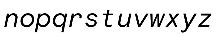 Basis Grotesque Mono Italic Pro Font LOWERCASE