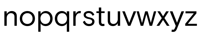 Basis Grotesque Regular Pro Font LOWERCASE