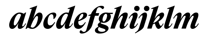 Boogy Brut WEBL Bold Italic FONT