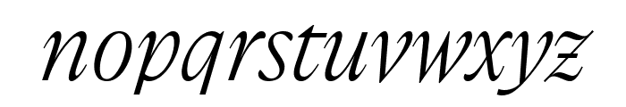 Boogy Brut WEBL Light Italic Font LOWERCASE