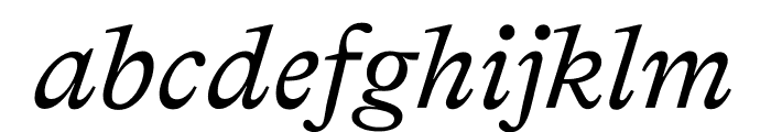 Bradford Italic Font LOWERCASE