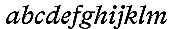 Bradford Medium Italic Font LOWERCASE