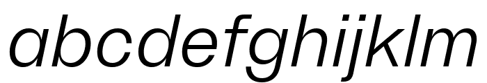 Brut Grotesque WEBL Light Italic FONT