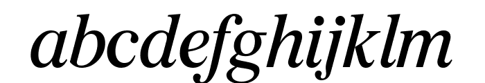 Burgess Italic Pro Font LOWERCASE