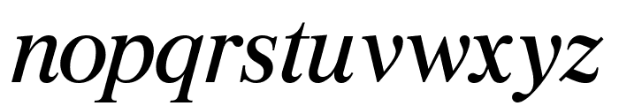 Burgess Italic Pro Font LOWERCASE