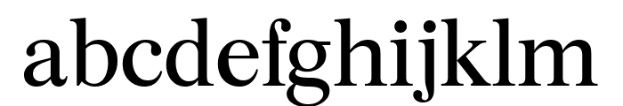 Burgess Regular Pro Font LOWERCASE