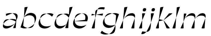CalleoFlux Trial Italic Font LOWERCASE