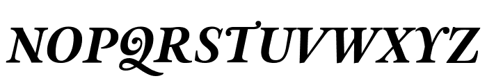 Custodia Bold Italic Font UPPERCASE