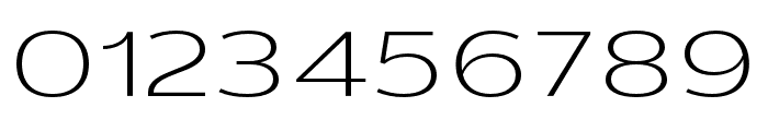 DXRigraf ExtLtExtExp Font OTHER CHARS