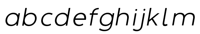 DelRay Italic   Light Font LOWERCASE