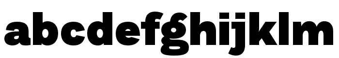 DiGrotesk Black Font LOWERCASE