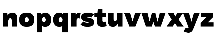 DiGrotesk Black Font LOWERCASE