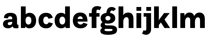 DiGrotesk Bold Font LOWERCASE