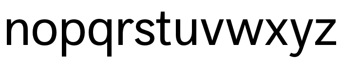 DiGrotesk Regular Font LOWERCASE