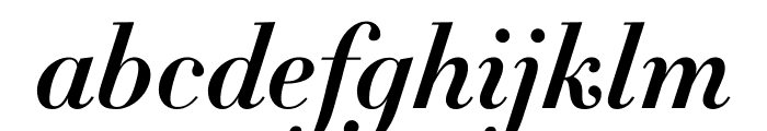 Didot Bold Italic(11pt Master) Font LOWERCASE