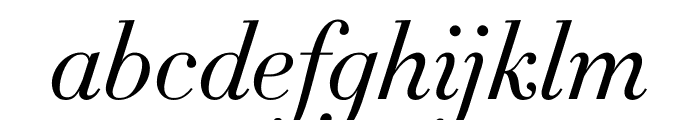 Didot Light Italic(11pt Master) Font LOWERCASE