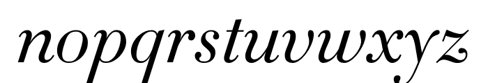 Didot Light Italic(11pt Master) Font LOWERCASE