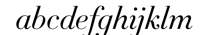 Didot Light Italic(16pt Master) Font LOWERCASE