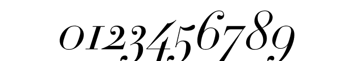 Didot Light Italic(24pt Master) Font OTHER CHARS