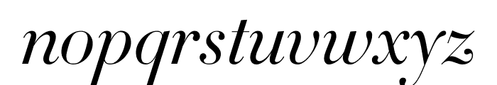 Didot Light Italic(24pt Master) Font LOWERCASE