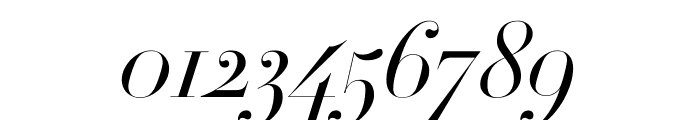 Didot Light Italic(64pt Master) Font OTHER CHARS