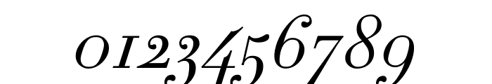 Didot Light Italic(6pt Master) Font OTHER CHARS