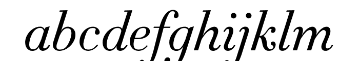 Didot Light Italic(6pt Master) Font LOWERCASE