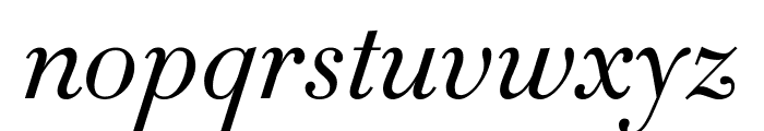 Didot Light Italic(6pt Master) Font LOWERCASE