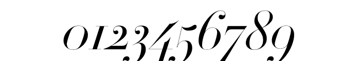 Didot Light Italic(96pt Master) Font OTHER CHARS