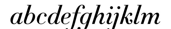 Didot Medium Italic(11pt Master) Font LOWERCASE