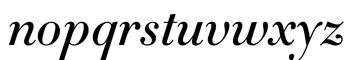 Didot Medium Italic(11pt Master) Font LOWERCASE