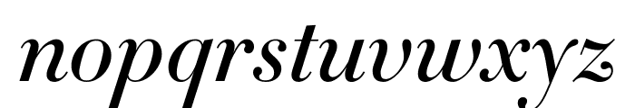 Didot Medium Italic(16pt Master) Font LOWERCASE