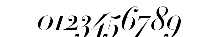 Didot Medium Italic(64pt Master) Font OTHER CHARS
