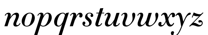 Didot Medium Italic(6pt Master) Font LOWERCASE