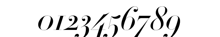 Didot Medium Italic(96pt Master) Font OTHER CHARS