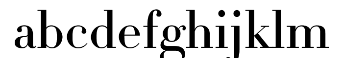 Didot Medium Roman(11pt Master) Font LOWERCASE