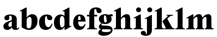 Editorial New Heavy Font LOWERCASE