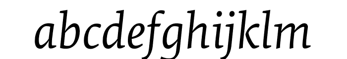 Elena Regular Italic Font LOWERCASE