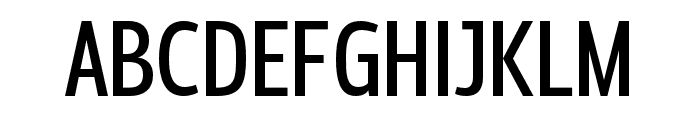 FC Flexica Light Font UPPERCASE