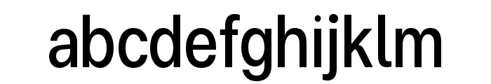 FC Subject Condensed Regular Font LOWERCASE
