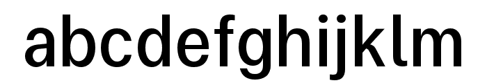 FCParagraph Regular Condensed Font LOWERCASE