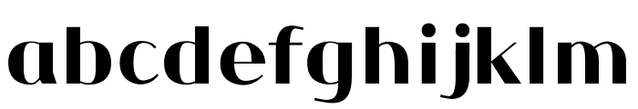 FF4AGORAL 800 Font LOWERCASE