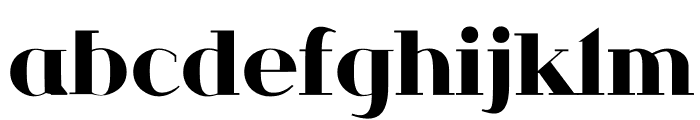 FF4AGORALserif 800 Font LOWERCASE