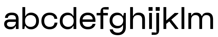 FKDisplay RegularAlt Font LOWERCASE