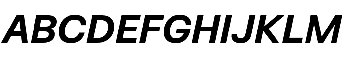 FKGrotesk BoldItalic Font UPPERCASE