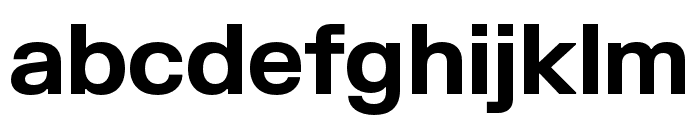 FKGrotesk Bold Font LOWERCASE