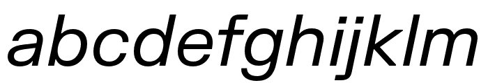 FKGrotesk Italic Font LOWERCASE