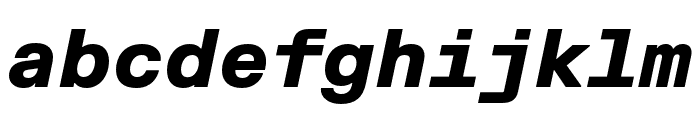 FKGroteskMono BlackItalic Font LOWERCASE